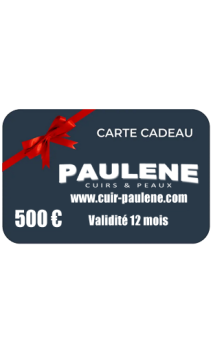 Carte cadeau valeur 500 EUR