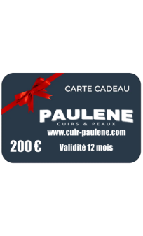 Carte Cadeau valeur 200 EUR