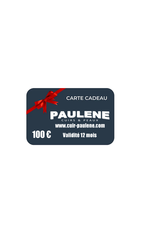 Carte Cadeau 100 EUR